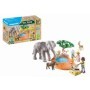 Elefant si lac